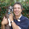 Lou Gatto