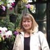 Susan Niggel