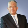 Alaa El Shafei