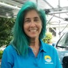 Erika Ginsberg-Klemmt