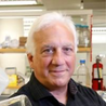 Ray Sambrotto