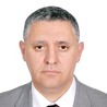 Fethi Arabi