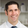 Andrew Stein