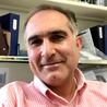 Nader M. Kalkhoran