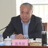 Zhang Dongchen
