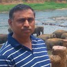 Venkata Subbarao Potluri