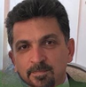 Mohsen Hemami