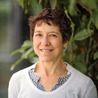 Ann Thorn