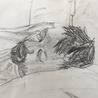 Ryan Notz