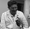 Dale Krolikowski