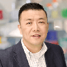Dean Ding