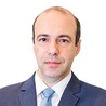 Vassilis Gavroglou