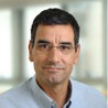 Eli Arad